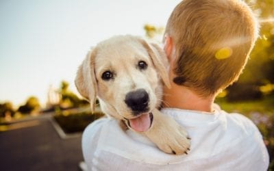 How to Prevent Separation Anxiety From Developing in Your New Puppy