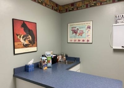 Pequot Lakes Animal Hospital Exam Room