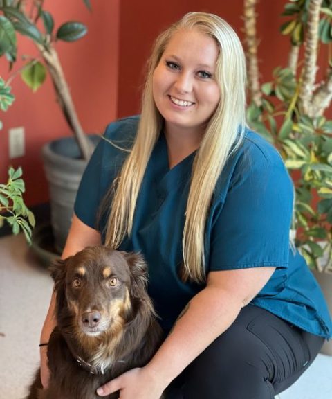 Meet Our Veterinary Team - Dr. Deb Brown - Pequot Lakes Animal Hospital